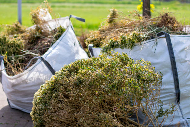 Professional Junk Removal Services in South Windham, CT